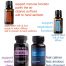 Indispensables Trial Kit for Immune support, respiratory support, sleep and anxious feelings