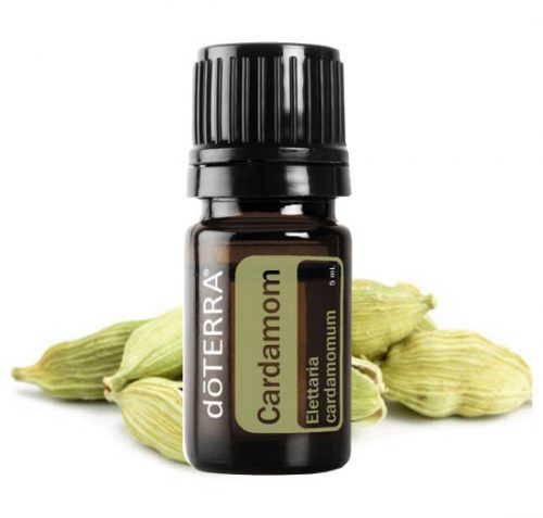 Cardamom Essential Oil