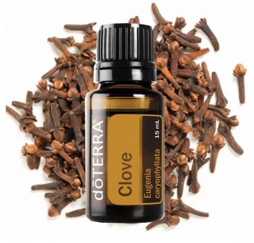 Clove Bud Essential Oil