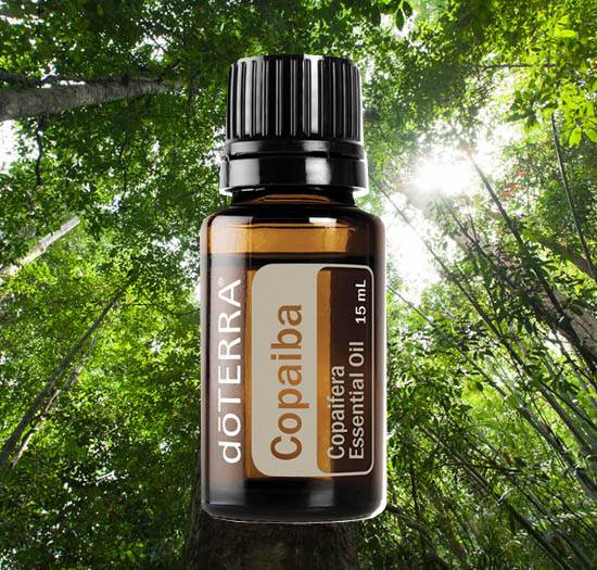 Copaiba Essential Oil Essential Oils Integrative Aromatherapy