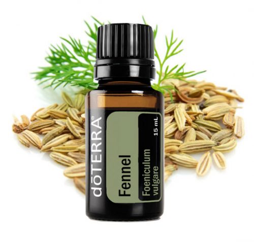 Fennel Essential Oil