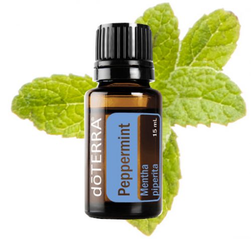 Peppermint Essential Oil