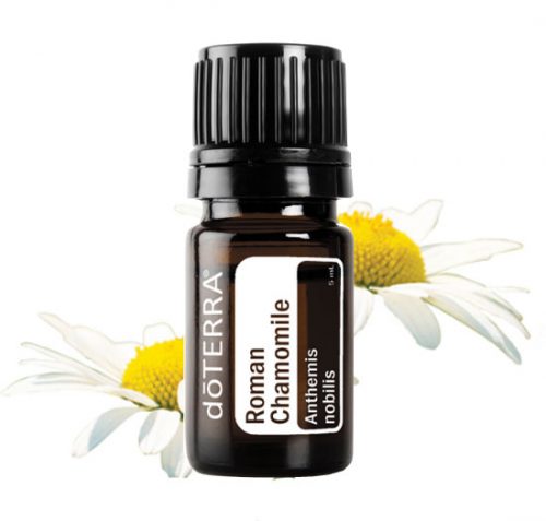 Roman Chamomile Essential Oil