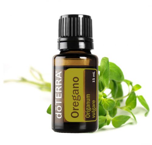 Oregano Essential Oil